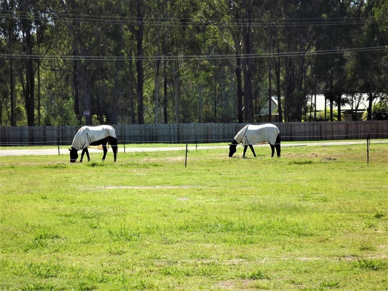 1-27 Miller Road, Logan Village QLD 4207