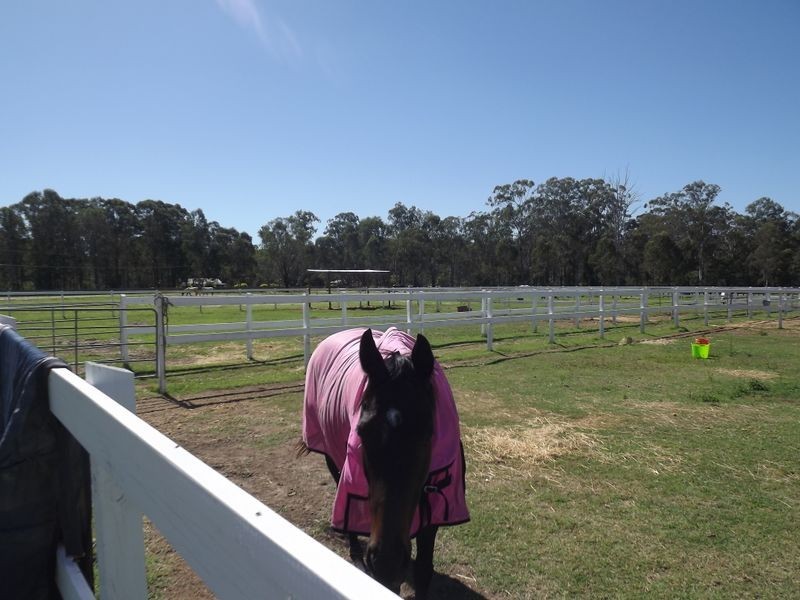 1-27 Miller Road, Logan Village QLD 4207