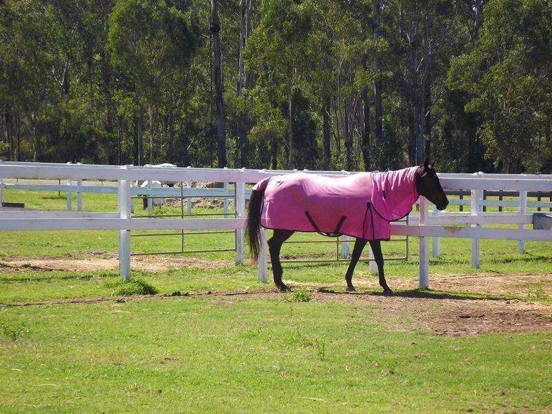 1-27 Miller Road, Logan Village QLD 4207