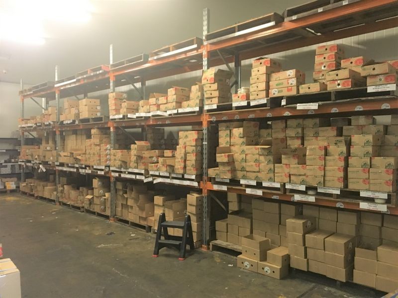 23 Godwin Street, Bulimba QLD 4171