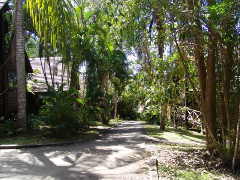 3 Greenhills Road, Kuranda QLD 4881
