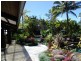 3 Greenhills Road, Kuranda QLD 4881
