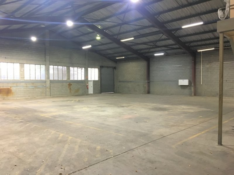 31 Godwin Street, Bulimba QLD 4171