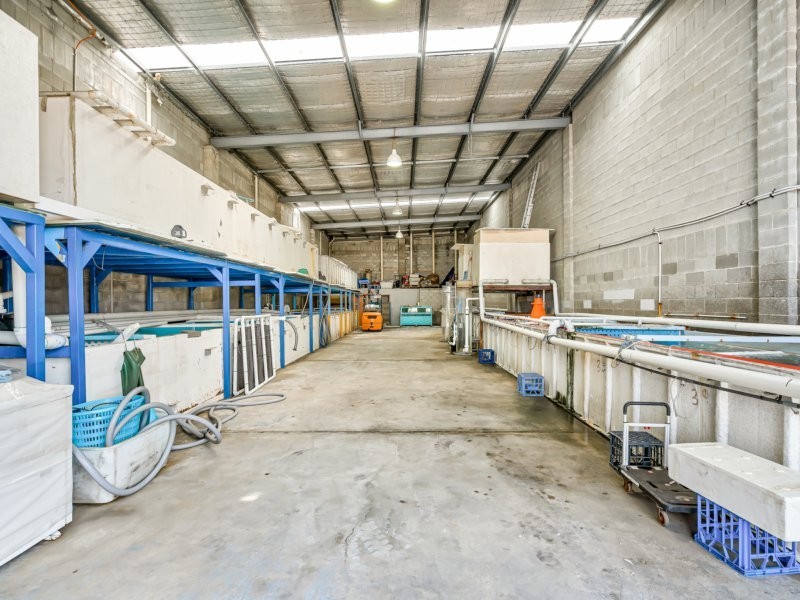 41 Darnick Street, Underwood QLD 4119