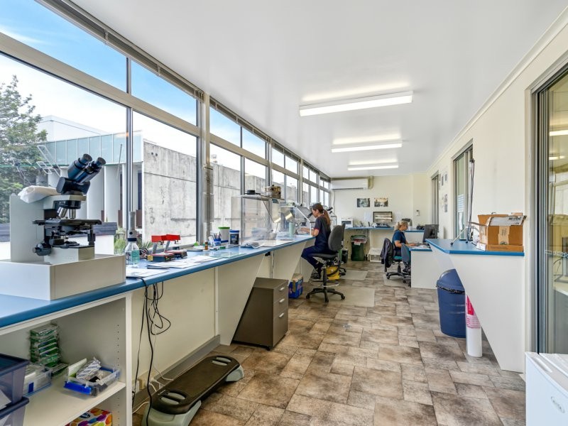 92 Cleveland Street, Greenslopes QLD 4120