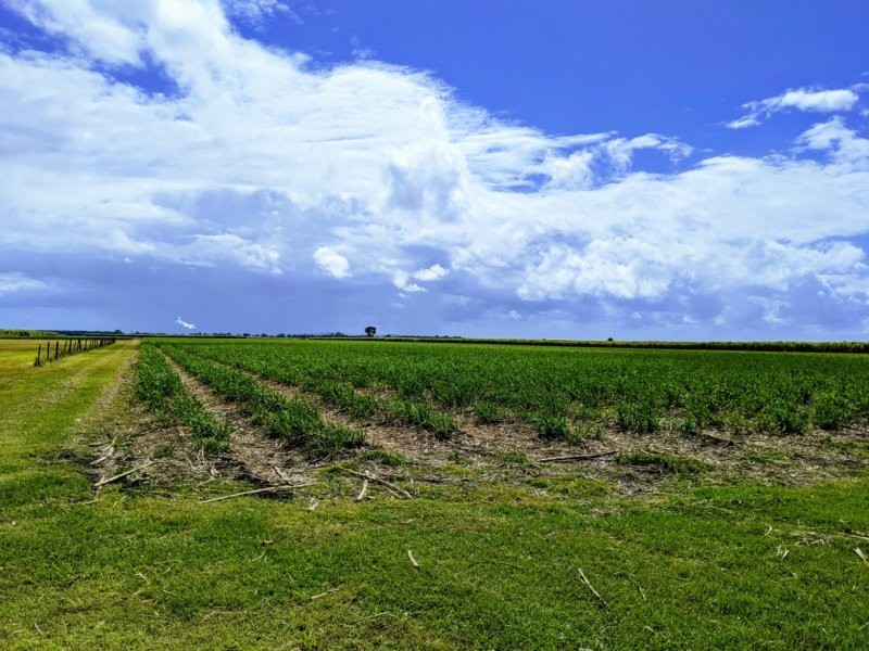 369 Norwell Road, Norwell QLD 4208