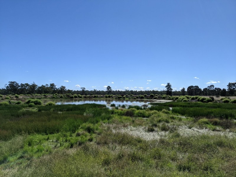 1683 Beebo Seventeen Mile Road, Beebo QLD 4385