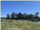 1683 Beebo Seventeen Mile Road, Beebo QLD 4385
