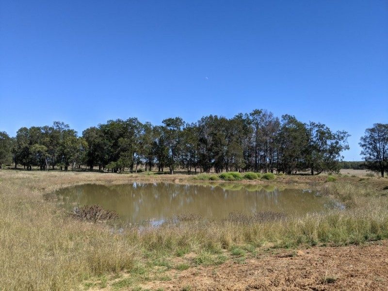 1683 Beebo Seventeen Mile Road, Beebo QLD 4385