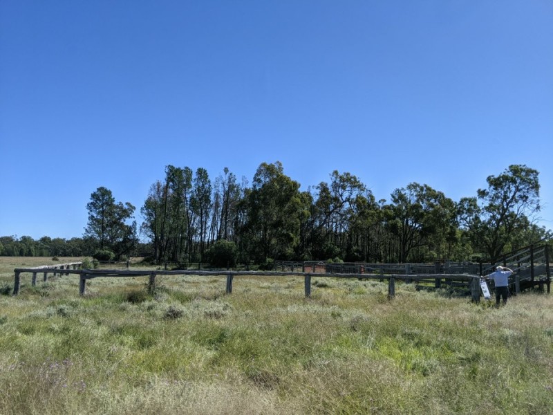 1683 Beebo Seventeen Mile Road, Beebo QLD 4385