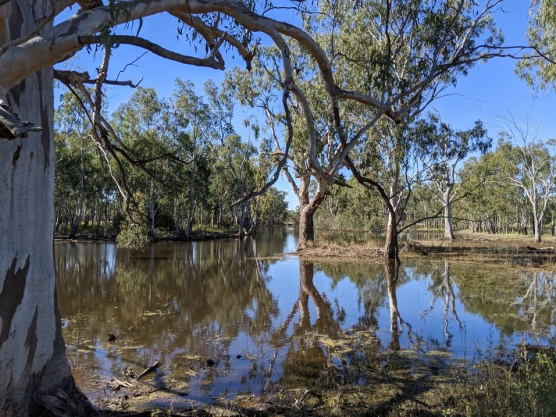 1683 Beebo Seventeen Mile Road, Beebo QLD 4385