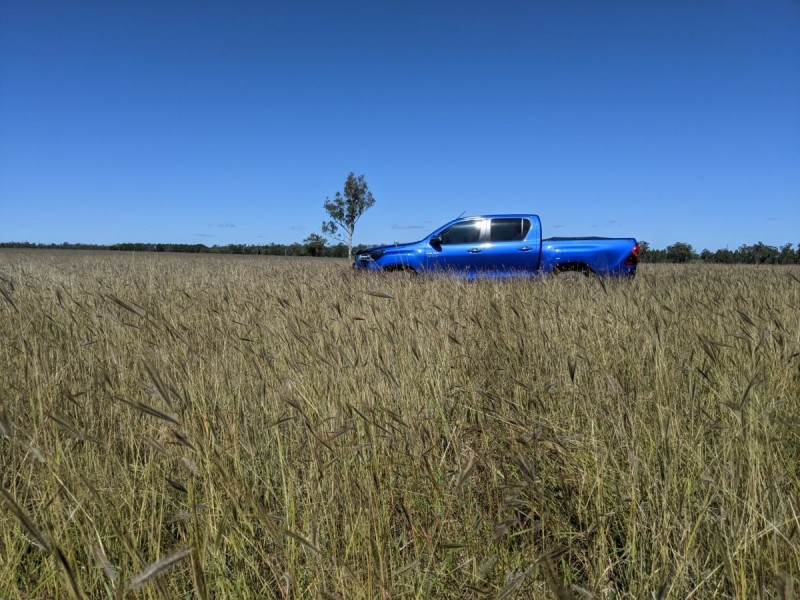 1683 Beebo Seventeen Mile Road, Beebo QLD 4385