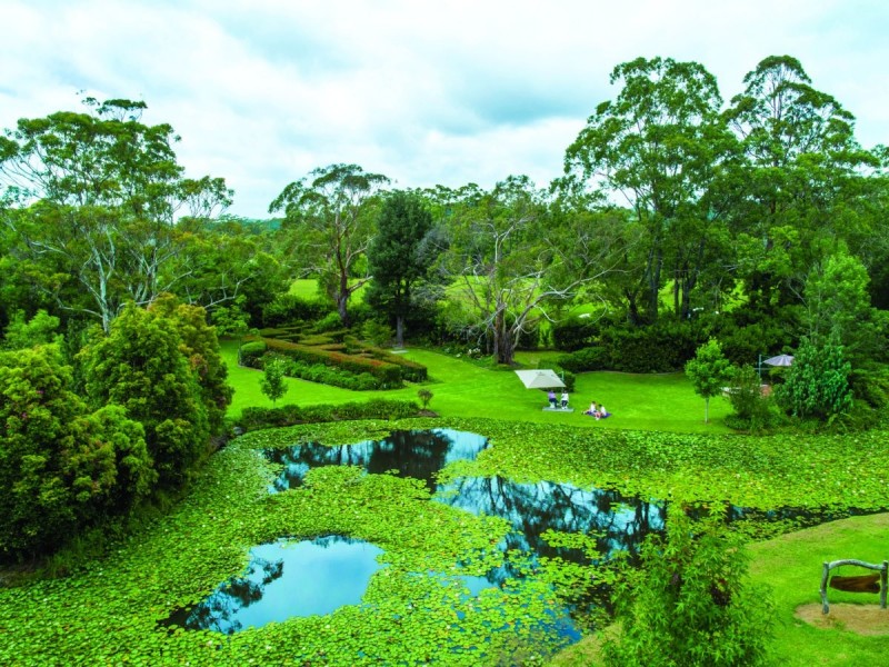 Lot 5/2324 Springbrook Road, Springbrook QLD 4213