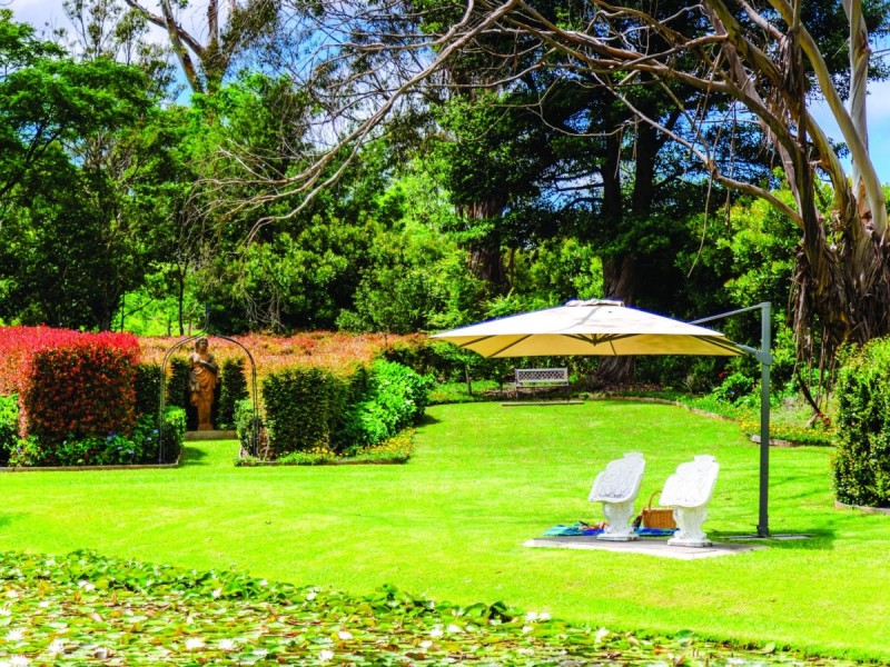 Lot 5/2324 Springbrook Road, Springbrook QLD 4213