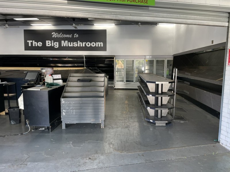 88 Shore Street West, Ormiston QLD 4160