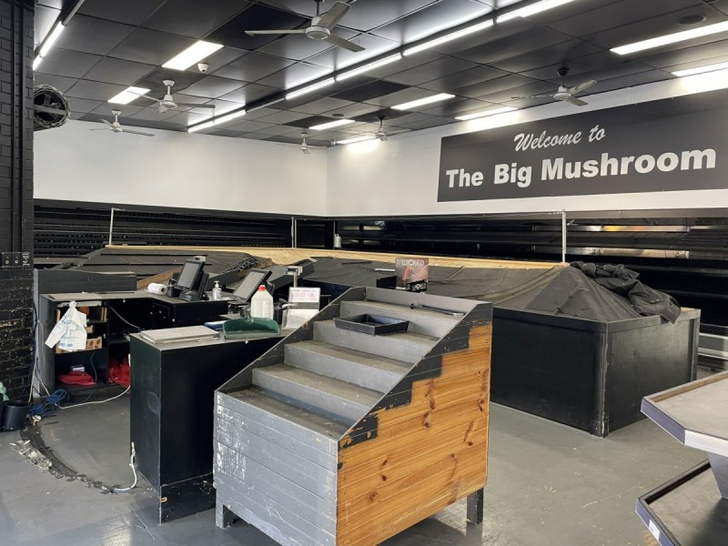 88 Shore Street West, Ormiston QLD 4160