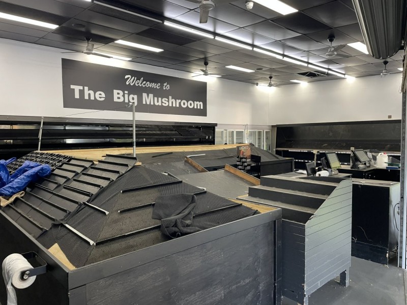 88 Shore Street West, Ormiston QLD 4160