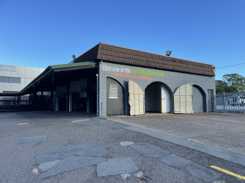 88 Shore Street West, Ormiston QLD 4160