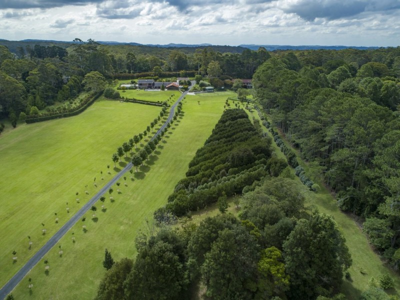 11-17 Lyrebird Ridge Road, Springbrook QLD 4213