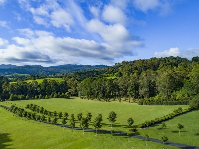 11-17 Lyrebird Ridge Road, Springbrook QLD 4213