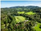 11-17 Lyrebird Ridge Road, Springbrook QLD 4213