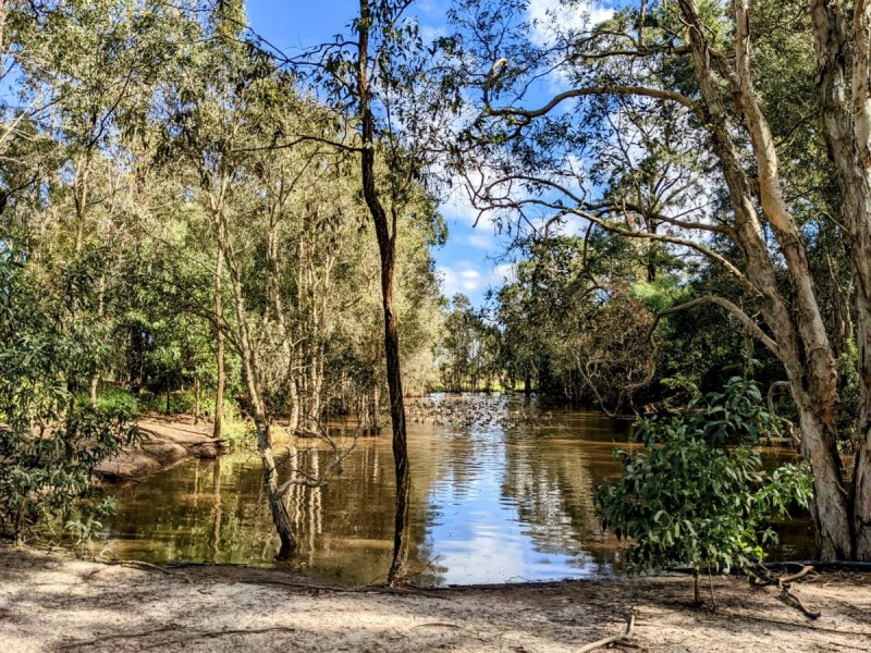 132 Zipfs Road, Alberton QLD 4207