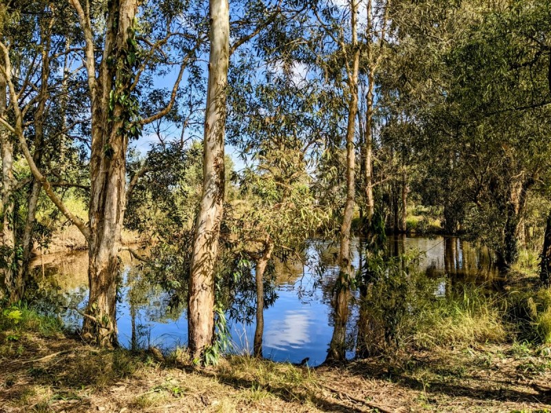 132 Zipfs Road, Alberton QLD 4207