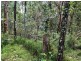 147 Rotary Park Road, Stapylton QLD 4207