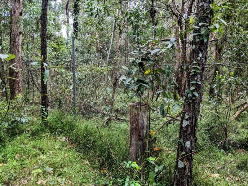 147 Rotary Park Road, Stapylton QLD 4207
