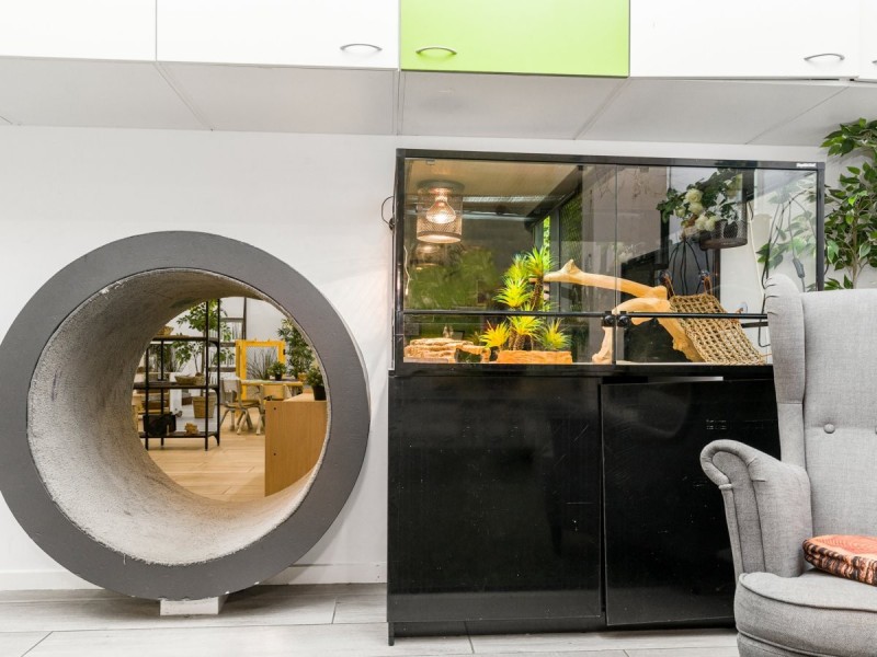 198-200 Springwood Road, Springwood QLD 4127