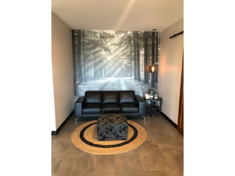 6 Paxton Street, Springwood QLD 4127