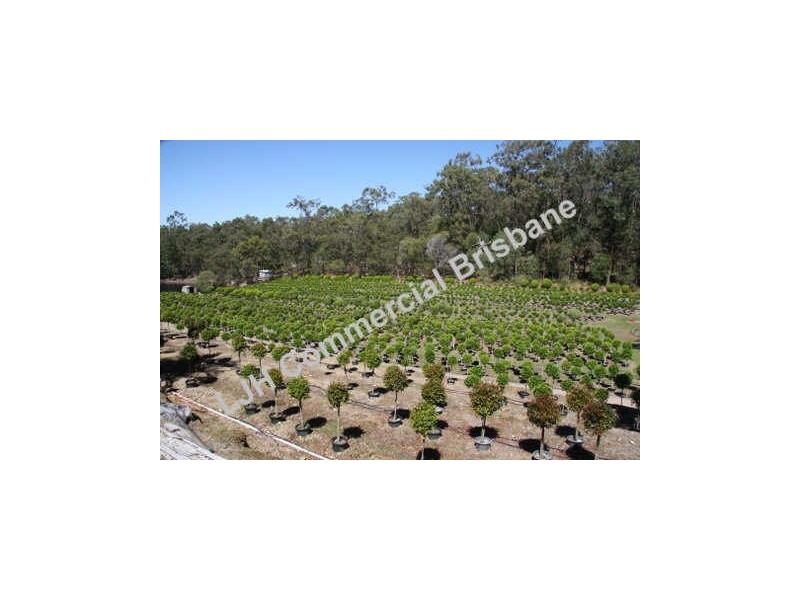 Mount Cotton QLD 4165