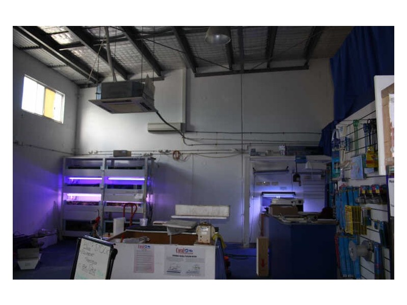 6/7 Villiers Drive, Currumbin Waters QLD 4223