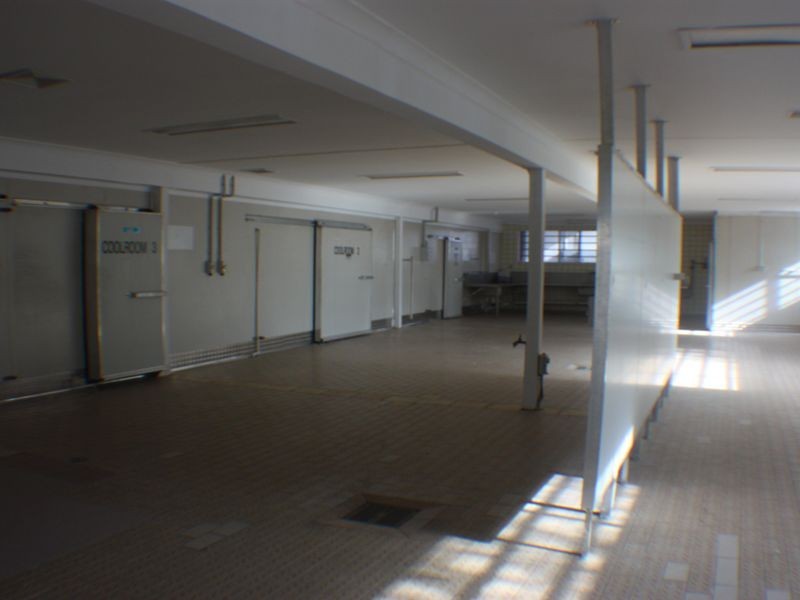 16 Activity Cr, Molendinar QLD 4214