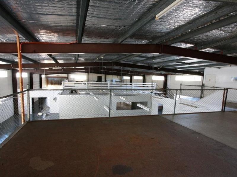 16 Activity Cr, Molendinar QLD 4214