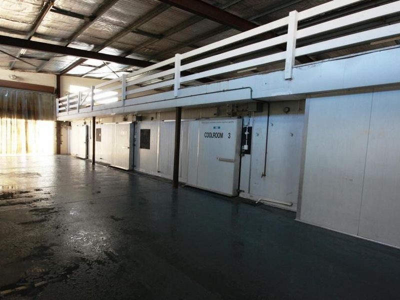 16 Activity Cr, Molendinar QLD 4214
