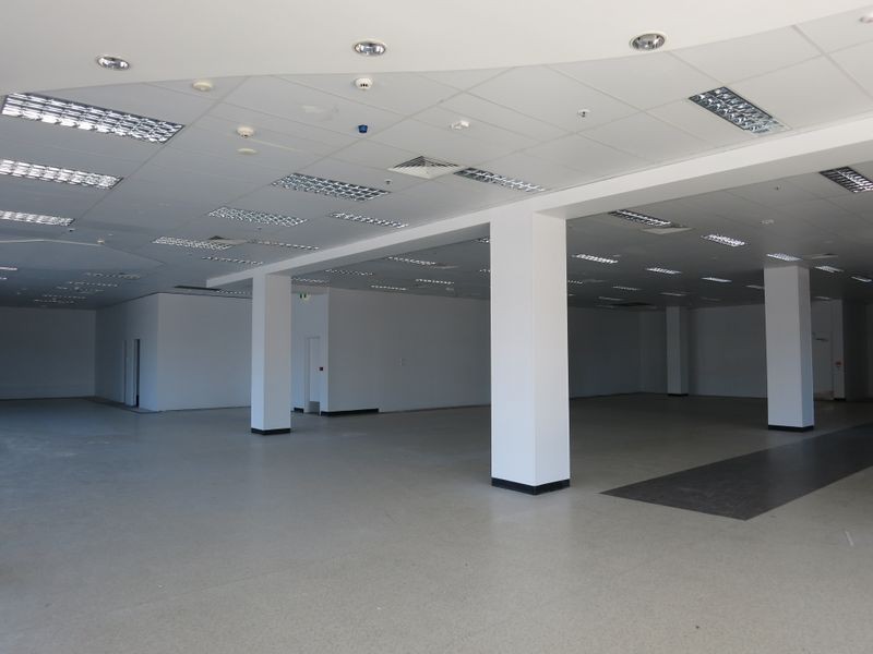 41 Nerang Street, Southport QLD 4215