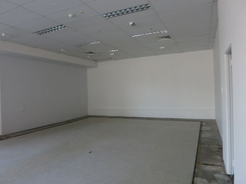 41 Nerang Street, Southport QLD 4215