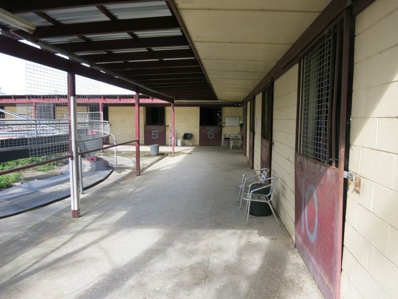 86 Racecourse Drive, Bundall QLD 4217