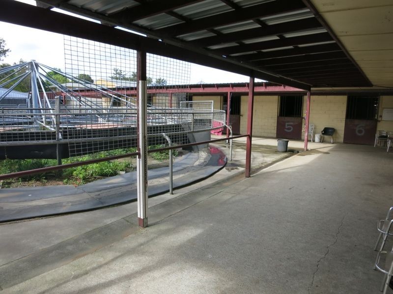 86 Racecourse Drive, Bundall QLD 4217