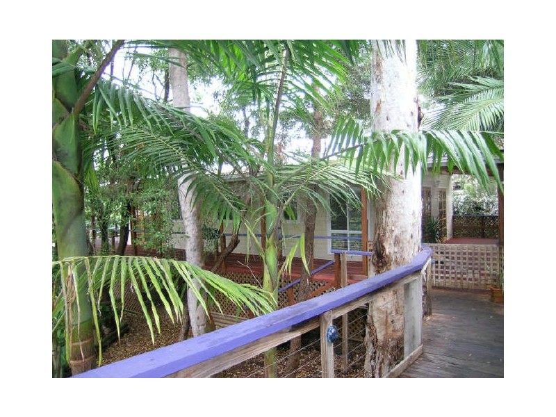 1B Bellbird Crescent, Forestville NSW 2087