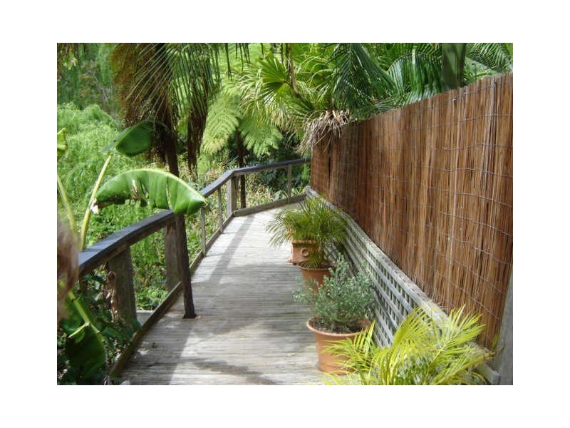 1B Bellbird Crescent, Forestville NSW 2087