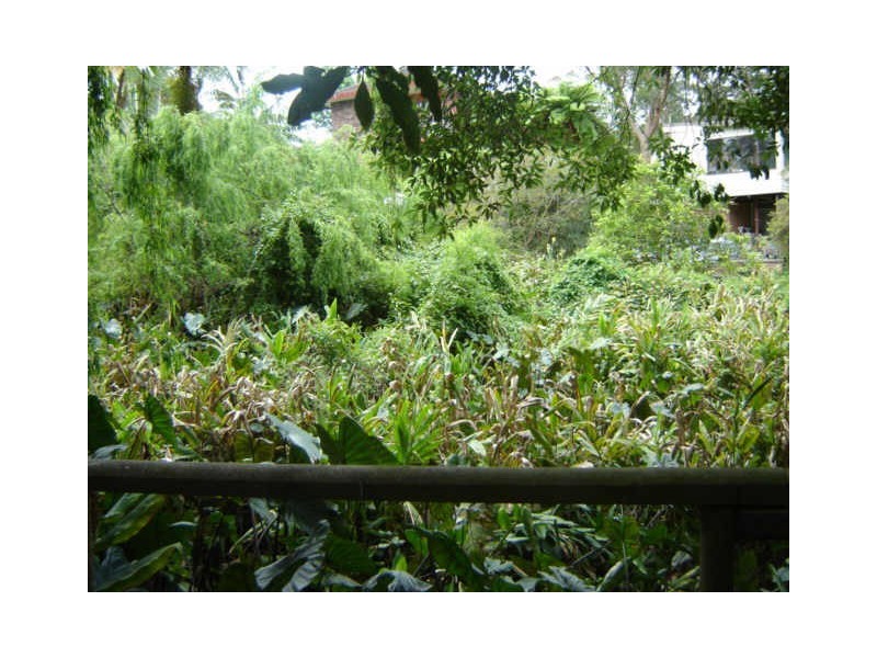 1B Bellbird Crescent, Forestville NSW 2087