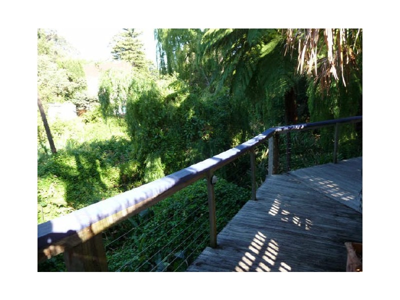 1B Bellbird Crescent, Forestville NSW 2087