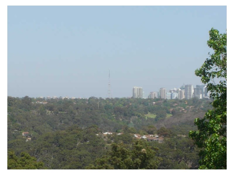 79 Arthur Street, Forestville NSW 2087