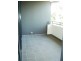 B204/2-4 Darley Street, Forestville NSW 2087