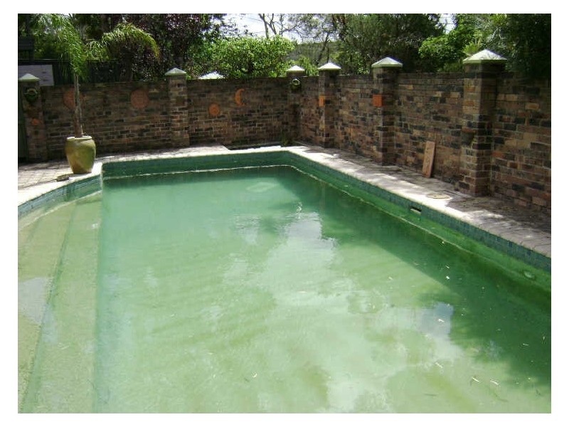 17 Athlone Crescent,, Killarney Heights NSW 2087