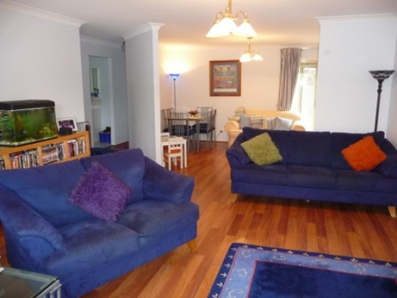 16a Cook Street, Forestville NSW 2087