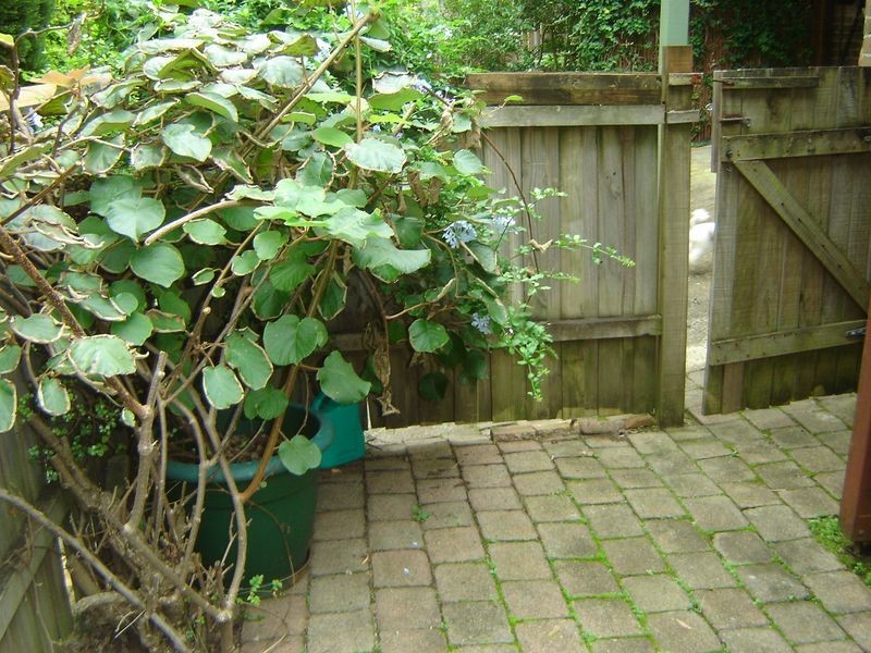 Frenchs Forest NSW 2086