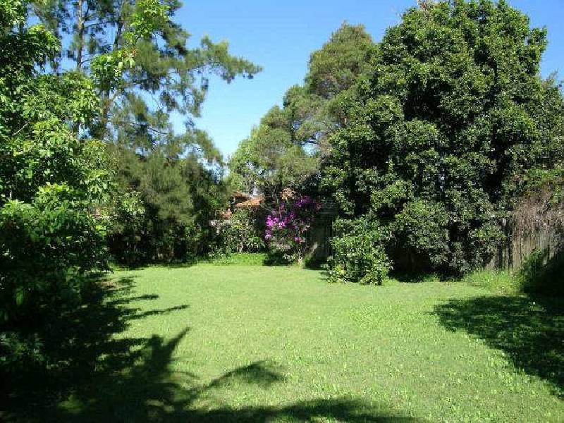 26 Victoria Avenue, Willoughby NSW 2068